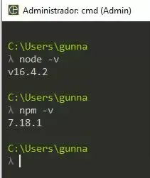 Consultando a versão do NodeJs e NPM