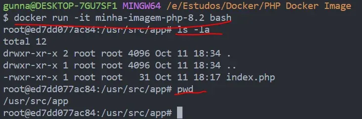 Executando comandos dentro do container docker