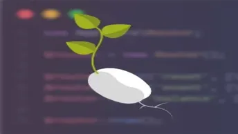 Laravel Seeder: Como inserir múltiplos registros